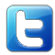 Twitter Logo & Link